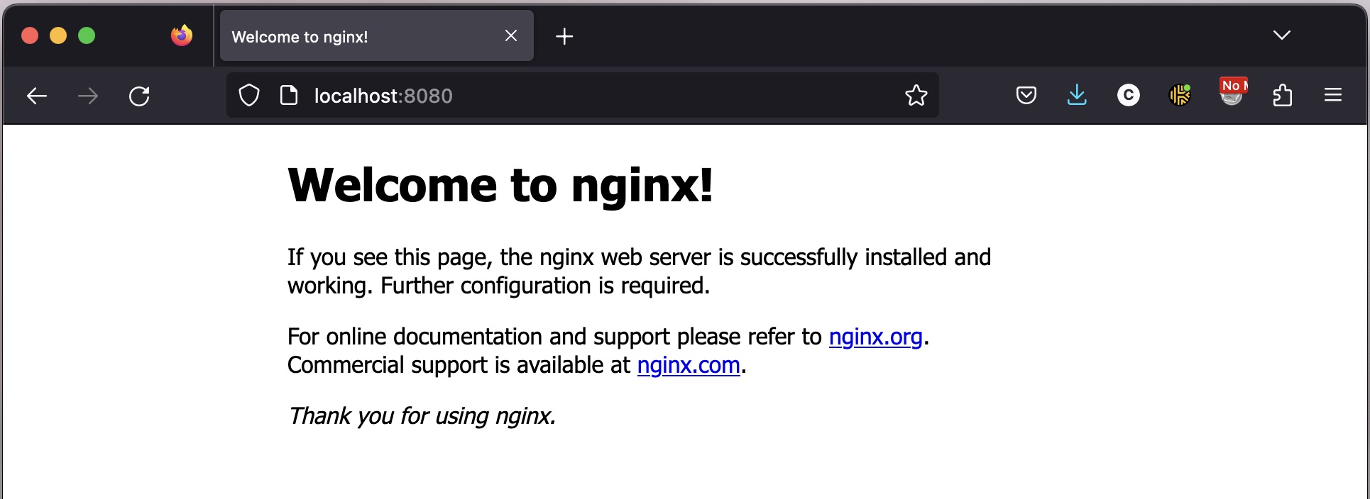 Nginx homepage